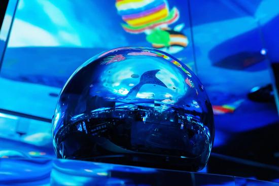 Microcosmos, Beyond Borders - Tokyo