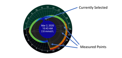 24-hour circular plot representing daily glucose measurements.