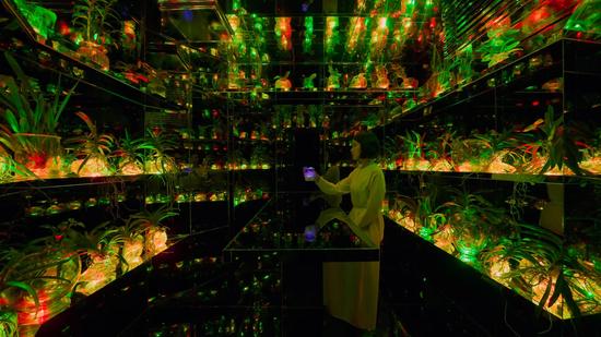 Tea and Sake in Spontaneous Order - Tokyo